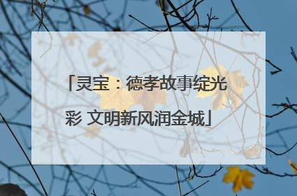 灵宝：德孝故事绽光彩 文明新风润金城