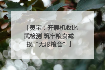 灵宝：开展机收比武检测 筑牢粮食减损“无形粮仓”