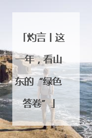 灼言丨这一年，看山东的“绿色答卷”
