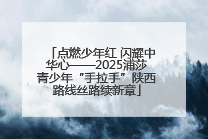 点燃少年红 闪耀中华心——2025浦莎青少年“手拉手”陕西路线丝路续新章