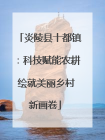 炎陵县十都镇：科技赋能农耕 绘就美丽乡村新画卷