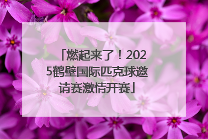 燃起来了！2025鹤壁国际匹克球邀请赛激情开赛