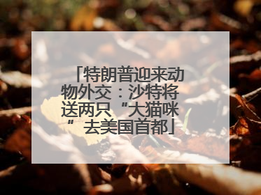 特朗普迎来动物外交：沙特将送两只“大猫咪”去美国首都