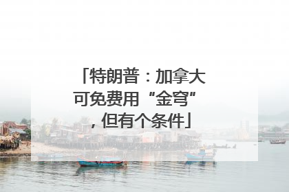 特朗普：加拿大可免费用“金穹”，但有个条件
