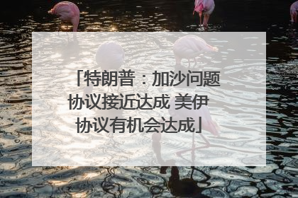 特朗普：加沙问题协议接近达成 美伊协议有机会达成