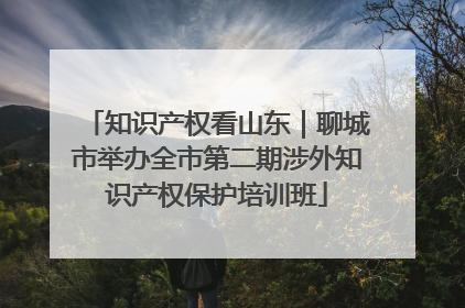 知识产权看山东｜聊城市举办全市第二期涉外知识产权保护培训班