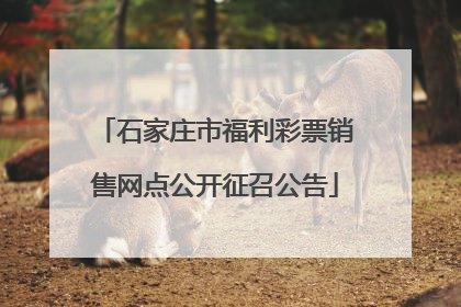石家庄市福利彩票销售网点公开征召公告