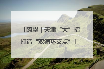 瞭望｜天津“大”招打造“双循环支点”