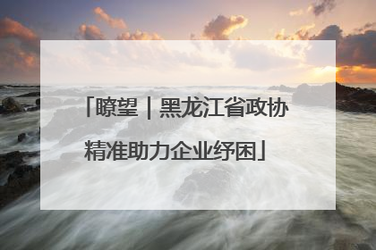瞭望｜黑龙江省政协精准助力企业纾困