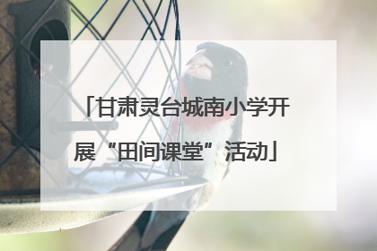 甘肃灵台城南小学开展“田间课堂”活动