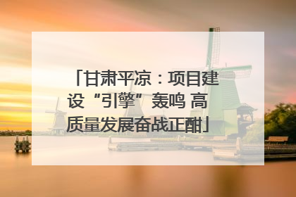 甘肃平凉：项目建设“引擎”轰鸣 高质量发展奋战正酣
