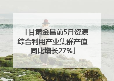 甘肃金昌前5月资源综合利用产业集群产值同比增长27%