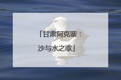 甘肃阿克塞：沙与水之歌