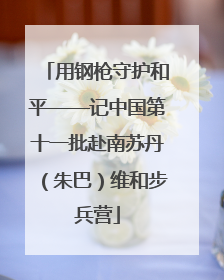 用钢枪守护和平——记中国第十一批赴南苏丹（朱巴）维和步兵营