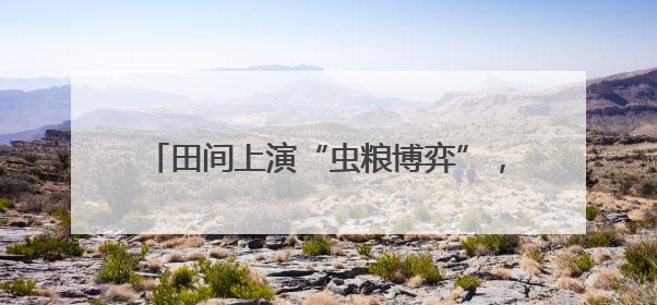 田间上演“虫粮博弈”，生物武器扭转“战局”