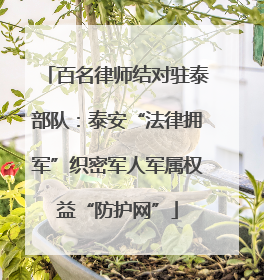 百名律师结对驻泰部队：泰安“法律拥军”织密军人军属权益“防护网”