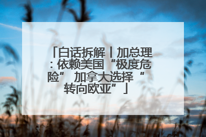 白话拆解丨加总理：依赖美国“极度危险” 加拿大选择“转向欧亚”