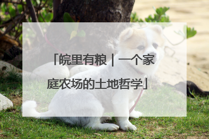 皖里有粮｜一个家庭农场的土地哲学