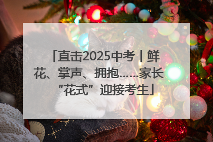 直击2025中考丨鲜花、掌声、拥抱……家长“花式”迎接考生
