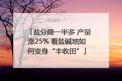 盐分降一半多 产量涨25% 看盐碱地如何变身“丰收田”