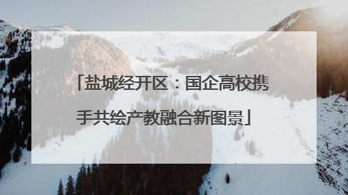 盐城经开区：国企高校携手共绘产教融合新图景