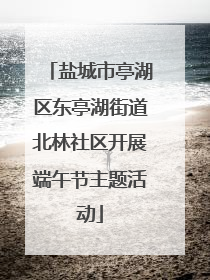 盐城市亭湖区东亭湖街道北林社区开展端午节主题活动