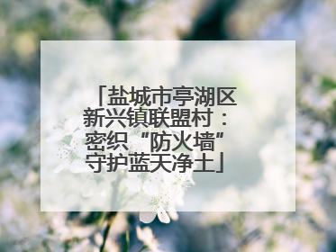 盐城市亭湖区新兴镇联盟村：密织“防火墙”守护蓝天净土