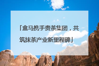 盒马携手贵茶集团，共筑抹茶产业新里程碑