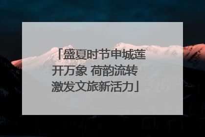 盛夏时节申城莲开万象 荷韵流转激发文旅新活力