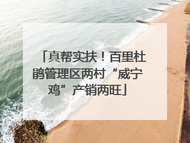 真帮实扶！百里杜鹃管理区两村“威宁鸡”产销两旺