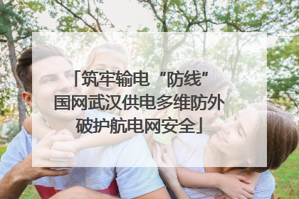 筑牢输电“防线” 国网武汉供电多维防外破护航电网安全