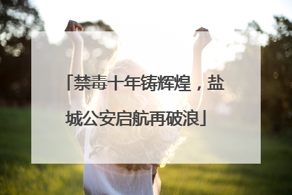 禁毒十年铸辉煌，盐城公安启航再破浪