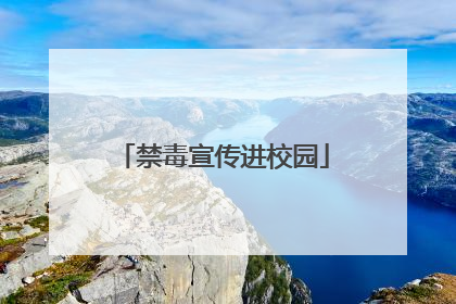 禁毒宣传进校园