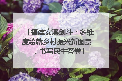 福建安溪剑斗：多维度绘就乡村振兴新图景，书写民生答卷