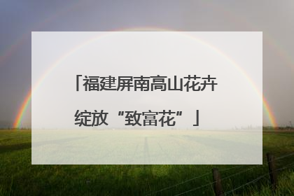 福建屏南高山花卉绽放“致富花”