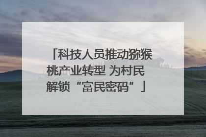 科技人员推动猕猴桃产业转型 为村民解锁“富民密码”