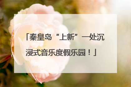秦皇岛“上新”一处沉浸式音乐度假乐园！