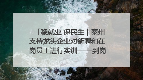 稳就业 保民生｜泰州支持龙头企业对新聘和在岗员工进行实训——到岗就能用 用了就见效