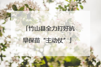 竹山县全力打好抗旱保苗“主动仗”