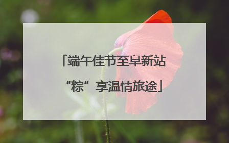 端午佳节至阜新站“粽”享温情旅途