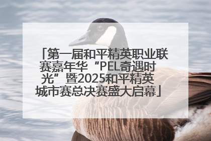 第一届和平精英职业联赛嘉年华“PEL奇遇时光”暨2025和平精英城市赛总决赛盛大启幕