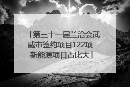 第三十一届兰洽会武威市签约项目122项 新能源项目占比大