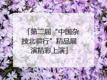 第二届“中国杂技北疆行”精品展演精彩上演