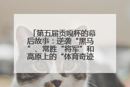 第五届贡嘎杯的幕后故事：逆袭“黑马”、常胜“将军”和高原上的“体育奇迹”丨微纪录