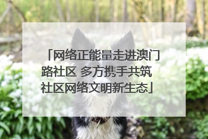 网络正能量走进澳门路社区 多方携手共筑社区网络文明新生态