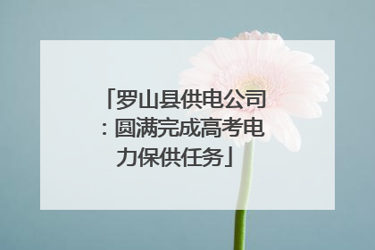 罗山县供电公司：圆满完成高考电力保供任务