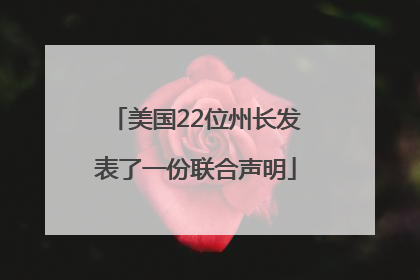 美国22位州长发表了一份联合声明