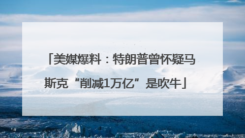 美媒爆料：特朗普曾怀疑马斯克“削减1万亿”是吹牛