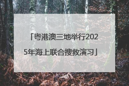 粤港澳三地举行2025年海上联合搜救演习
