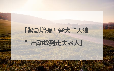 紧急增援！警犬“天狼”出动找到走失老人